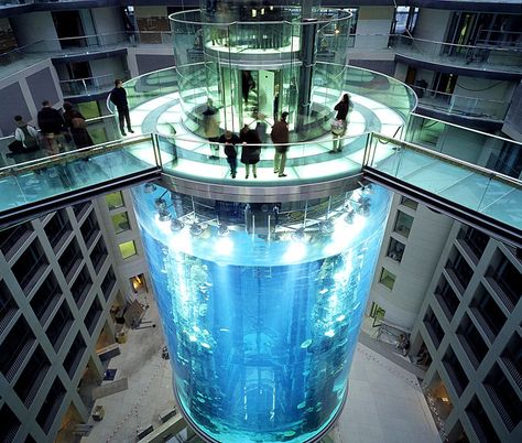 The AquaDom in Berlin, Germany, is a 25 m tall cylindrical acrylic glass aquarium with built-in transparent elevator. It is located at the Radisson Blu Hotel in Berlin-Mitte. Sea Life Centre, Aquarium Architecture, Glass Aquarium, Radisson Blu, Spatial Design, Travel Places, Berlin Germany, Aquarium Fish, Amazing Architecture