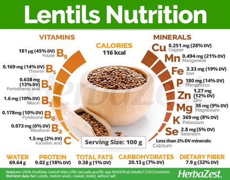 Benefits Of Lentils, Lentils Nutrition, Lentils Benefits, Garlic Health, Food Chemistry, Herbal Store, Food Health Benefits, Pantothenic Acid, Essential Nutrients