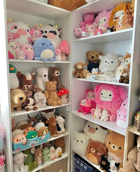 Squishmallow Storage Aesthetic, Displaying Plushies, Plushie Collection Display, Stuffed Animal Display Ideas, Squishmallow Decor, Squishmallow Room, Plush Display, Kids Hangout Room, Stuffed Animal Displays