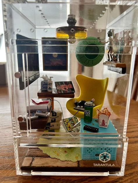 Pet Insect Enclosure, Jumping Spider Terrarium Ideas, Spider Terrarium Ideas, Bug Diorama, Spider Enclosure Ideas, Jumping Spider Enclosure Ideas, Jumping Spider Terrarium, Strange Pets, Spider Terrarium