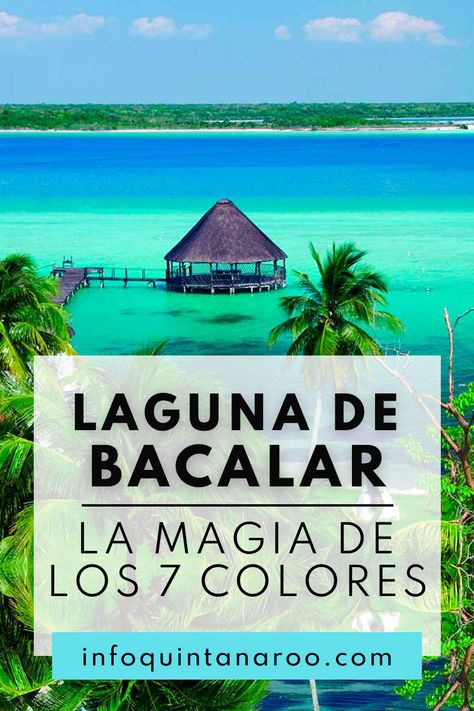 Conoce todo acerca de la famosa laguna de Bacalar o 7 colores en este pueblo mágico que no te puedes perder cuando visites Quintana Roo. Tenemos las mejores guías de turismo y viajes en México, Quintana Roo para nuestros seguidores. #viajes #turismo #turismoenmexico #viajarenmexico #lagunadebacalar #bacalarlaguna #lagunadelos7colores #lagunabacalar Bacalar Quintana Roo, Trip To Mexico, Quintana Roo, Mexico Travel, Riviera Maya, Holiday Destinations, Novelty Sign, Travel