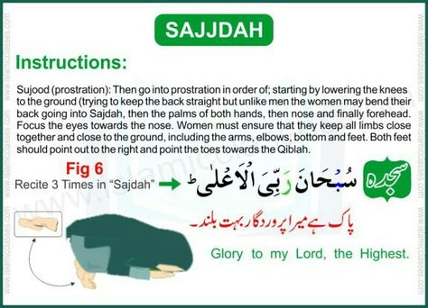 Namaz For Women, How To Read Namaz, Pray Salah, Salat Prayer, Quotes From Quran, Salah Prayer, Islamic Facts, Learn Arabic Online, Learning To Pray