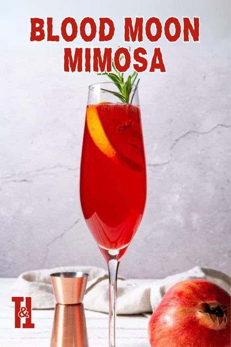 Toast to the night with the Blood Moon Mimosa! This eerie Halloween cocktail is the perfect addition to your spooky drinks, ideal for any Halloween party drink lineup. #halloweendrinks #halloweencocktails #halloweendrinksalcohol Poinsettia Cocktail, Pomegranate Mimosa, Spooky Drinks, Fun Halloween Drinks, Spooky Cocktails, Mimosa Drink, Best Sparkling Wine, Easy Mixed Drinks, Halloween Party Drinks