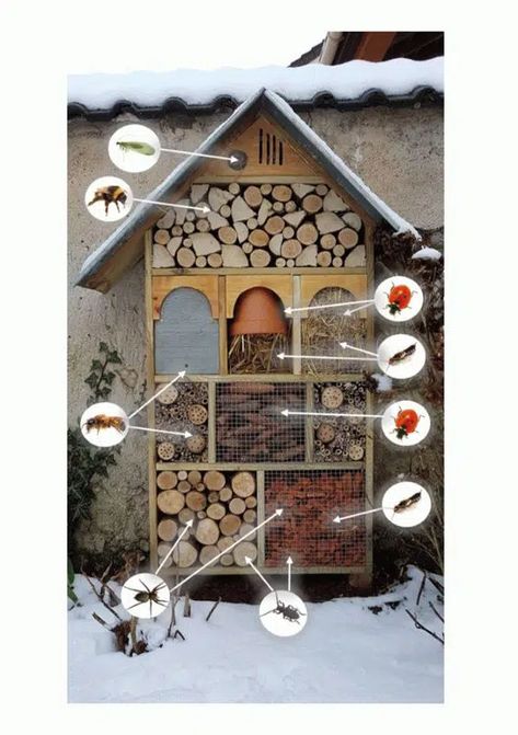 Bee Hotel, Bug Hotel, Insect Hotel, Wildlife Gardening, Pollinator Garden, Community Gardening, How To Set Up, Garden Cottage, Garden Crafts