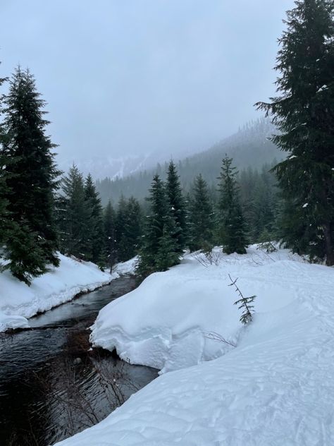 #goldcreekpond #washington #explore #snow #adventures #winter #winterwonderland Snow In Washington State, Winter River Aesthetic, Snowy Woods Aesthetic, Winter In Washington State, Snowy Pine Forest, Snowed In Aesthetic, Australia Winter Aesthetic, Winter Aesthetic Pics, Winter Woods Aesthetic