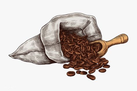 Hand drawn coffee beans in a bag | premium image by rawpixel.com / sasi Carrot Drawing, Hand Drawn Fox, Pineapple Vector, Roasted Beans, Coffee Doodle, Coffee Bean Bags, Fresh Coffee Beans, Feather Vector, Coffee Shop Logo