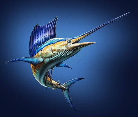 Saltwater Fish Studies on Behance Sailfish Art, Bass Fishing Pictures, Sail Fish, Blue Marlin Fish, Shark Images, Photoshop Shortcut, Marlin Fish, Animal Tarot, Motorbike Art