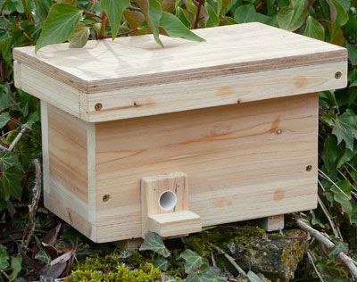 If you’ve made or purchased a bumble bee box, you are probably wondering where to put it and how to attract tenants. I’ve scanned dozens of documents looking for the secret formula and learned that... Bumble Bee Nest, Bee Hive Plans, Bee Houses, Insect Hotel, Mason Bees, Bug Hotel, Bee House, Bee Boxes, Garden Animals