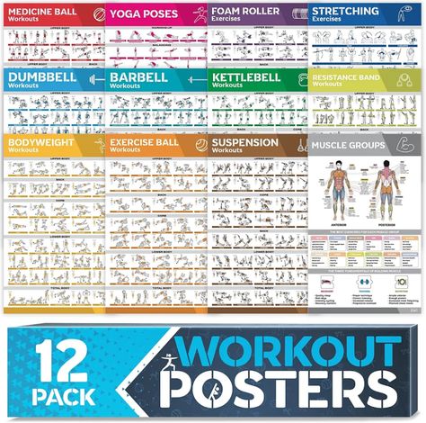 Review: Grand Basics 12 Pack Laminated Workout Poster Set - fullSTEAMahead365 Muscle Groups To Workout, Gym Posters, Gym Dumbbells, Fitness Tracker Printable, Medicine Ball Workout, Home Gym Exercises, Gym Poster, Barbell Workout, Gym Workout Chart