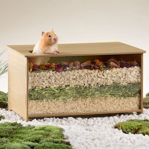 Amazon.com : MEWOOFUN Hamster Sand Bath Shower Room & Digging Sand Container Hamster Accessories, Acrylic Sand Box and Digging Room Litter Box for Mice Gerbils : Pet Supplies Cat Furniture Ideas, Bath Shower Room, Hamster Sand Bath, Large Hamster Cages, Hamster Stuff, Hamster Accessories, Hamster Bedding, Cat Wall Furniture, Hamster House