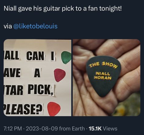 Niall Horan Concert Sign Ideas, Niall Horan Concert Signs, Concert Sign Ideas, Niall Horan Concert, 1d Concert, Concert Signs, Concert Vibes, Midnight Memories, Hello Lover