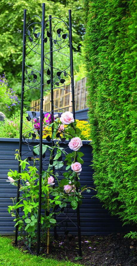 Rose Obelisk, Ivy Trellis, Garden Folly, Obelisk Trellis, Cedar Planter Box, Arch Trellis, Back Garden Ideas, Garden Obelisk, Mary Quite Contrary