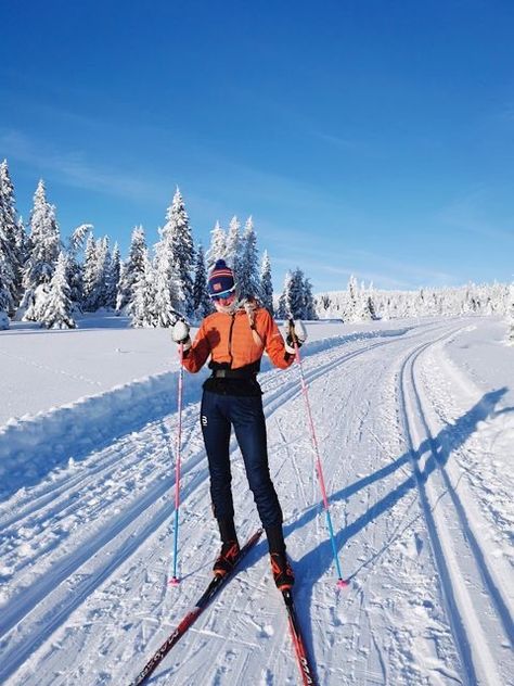 Xc Skiing Aesthetic, Crosscountry Skiing, Ski Europe, Skier Girl, Camping Pics, Skiing Aesthetic, Xc Ski, Ski Aesthetic, Nordic Skiing