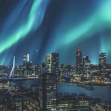 Incredible image of Aurora Borealis over Rotterdam!  Photo from drxgonfly Tumblr.  #northernlights #auroraborealis #rotterdam #holland #netherlands #travel #travelinspiration #instatravel #dfds #dfdsseaways Rotterdam City, Rotterdam Skyline, Rotterdam Netherlands, Northern Lights (aurora Borealis), Aurora Borealis Northern Lights, Wild Free, Meteorology, The Night Sky, Eindhoven