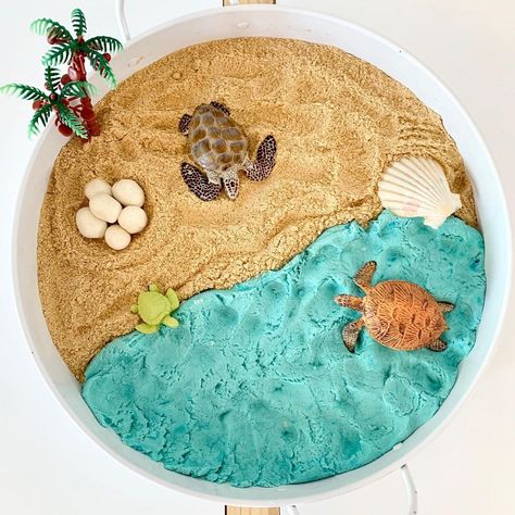 Turtle Sensory Activities, Ocean Activities Preschool, Under The Sea Crafts, Turtle Theme, Sensory Activities Toddlers, Toddler Sensory, Childcare Activities, Tuff Tray, Sea Crafts