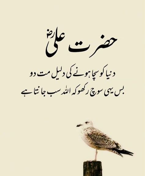 🌷🥰 Mola Ali Quotes In Urdu, Mola Ali Quotes, Islamic Writes, Hazrat Ali Quotes In Urdu, Islamic Motivational Quotes, Islamic Dp Quotes, Love Parents Quotes, Islamic Lines, Savvy Quotes