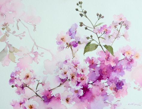 Contemporary Botanical Art, Cherry Blossom Watercolor, Cherry Blossom Flower, Flower Water, Loose Watercolor, Flower Landscape, Abstract Flower Painting, Watercolor Flower Art, Easy Watercolor