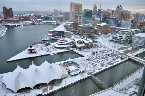 Baltimore Restaurants, Baltimore Hotels, German Christmas Markets, Charm City, Winter Activities For Kids, Homeschool Planner, Winter Birthday, Baltimore Maryland, Science Center