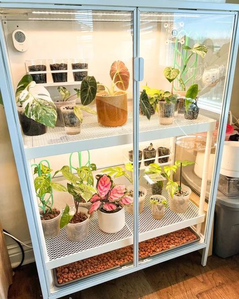 22 DIY Indoor Greenhouse Ideas Garden Apartment Ideas, Plant Cabinet Display, Ikea Indoor Garden, Appliance Epoxy, Ikea Greenhouse Cabinet, Plant Cabinet, Indoor Gardening Diy, Epoxy Spray Paint, Greenhouse Cabinet