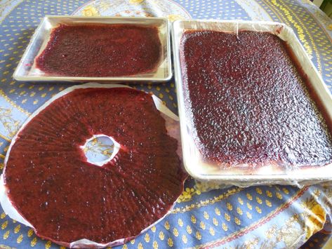 Fruit Leather Recipe Dehydrator, Fruit Leather Dehydrator, Peach Cobbler Dump Cake, Fruit Leather Recipe, Canning Peaches, Plum Recipes, Homemade Pantry, Dried Plums, Plum Fruit