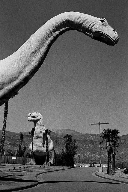 Museum Exterior, Sheldon The Tiny Dinosaur, Cabazon Dinosaurs, Dinosaur Museum, Dinosaur Wallpaper, Dinosaur Images, Dinosaur Pictures, The Good Dinosaur, Roadside Attractions