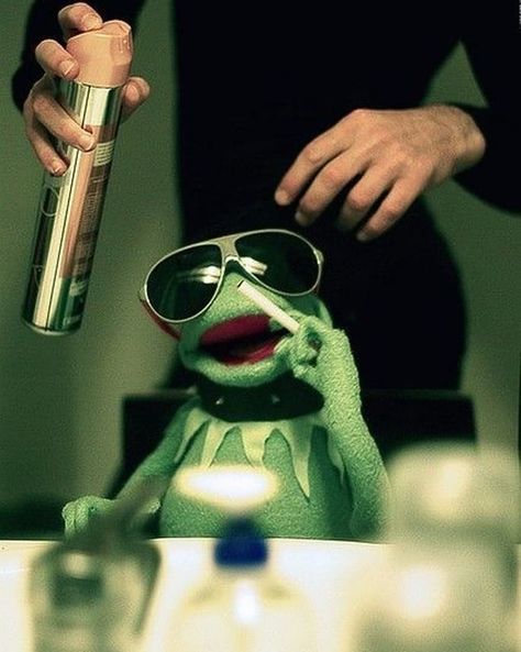 Rene Core, Sapo Kermit, Sapo Meme, Kermit Meme, Cursed Things, Kermit Funny, Miss Piggy, Kermit The Frog, 웃긴 사진