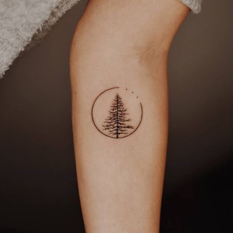 Pine Tree Tattoos, Tree Line Tattoo, Evergreen Tattoo, Geometric Tattoo Tree, Redwood Tattoo, Small Nature Tattoo, Tree Roots Tattoo, Simple Tree Tattoo, Pine Tattoo