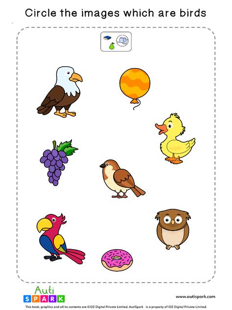 Circle The Yellow Coloured Objects #10 – Free Sorting Worksheet - Autispark 93A Circle The Same Object Worksheet, Birds Worksheets Kindergarten, Worksheet On Birds For Kindergarten, Sorting Animals Worksheet, Eng Worksheet For Nursery, Animals Needs Worksheet, Cursive Small Letters, Hindi Poems For Kids, Coloring Worksheets For Kindergarten