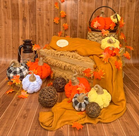 A vibrant setup for your little ones or families. Fall Theme Cakes, Photoshoot Setup, Fall Photo Booth, Halloween Photography Backdrop, Baby Book Pages, Fall Backdrops, Pumpkin 1st Birthdays, Diy Photo Backdrop