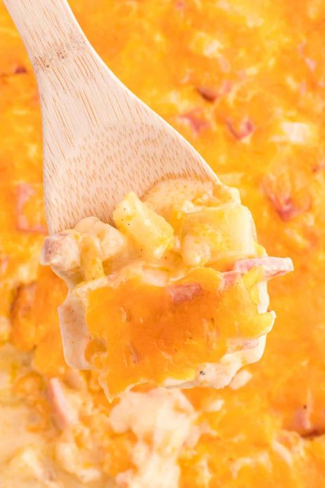 Cheesy Ham and Potato Casserole is a hearty dish loaded with diced potatoes, ham and onions all covered in a creamy sauce and baked with cheddar cheese on top. Cheesy Ham And Potato Casserole, Dump And Bake Meatball Casserole, Cheesy Ham Casserole, Scalloped Potatoes With Bacon, Bacon Potato Casserole, Sausage Potato Casserole, Ham Casserole Recipes, Reuben Casserole, Ham And Potato Casserole