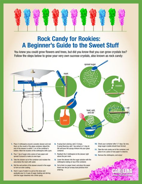 Infographic - Rock Candy for Rookies: A Beginner's Guide to the Sweet Stuff Rock Candy Science Fair Project Board, Rock Candy Experiment, Rock Candy Recipe, Candy Science Experiments, Make Rock Candy, Candy Experiments, Candy Science, Growing Crystals, Science Fair Projects