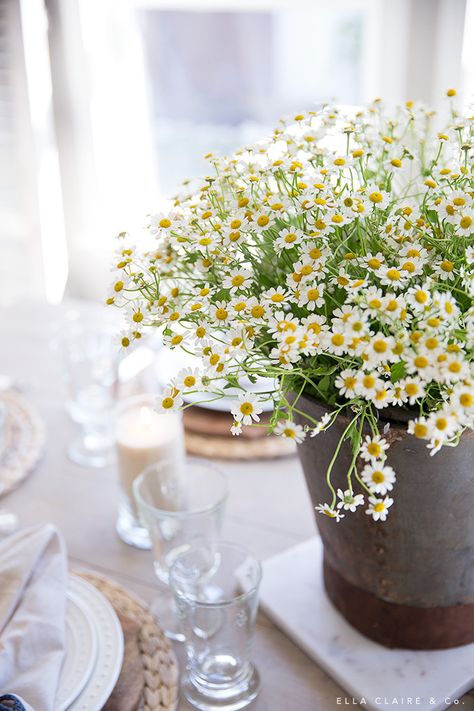 Daisy Centerpieces, Cold Wedding, Antique Bucket, Rustic Ideas, Vintage Gardening, Veg Garden, Spring Table, Happy Flowers, Sweet Christmas