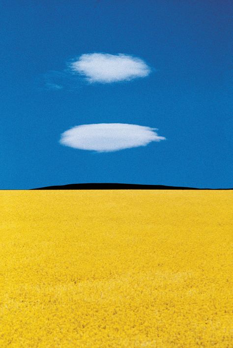 Franco Fontana Photography, Franco Fontana, Yellow Photography, 판타지 아트, Painting Art Projects, Landscape Photos, Geometric Art, Puglia, 그림 그리기