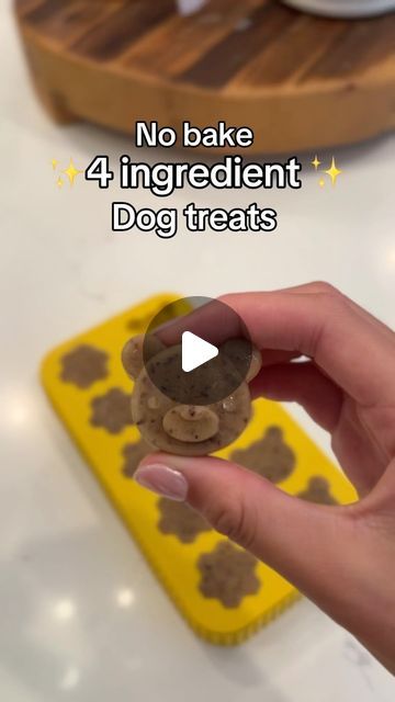 Fruit Dogs Can Eat, Pet Treats Recipes, Frozen Dog Treats, Doggie Treats, Good Meaning, Frozen Dog, Boost Immunity, Improve Gut Health, Treat Recipes