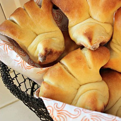 Liz's Crescent Turkey Rolls – The Food Nanny Thanksgiving Rolls Recipes, The Food Nanny, Turkey Rolls, Thanksgiving Rolls, Active Dry Yeast, Holiday Eating, Holiday Menus, 3 Eggs, Crescent Rolls