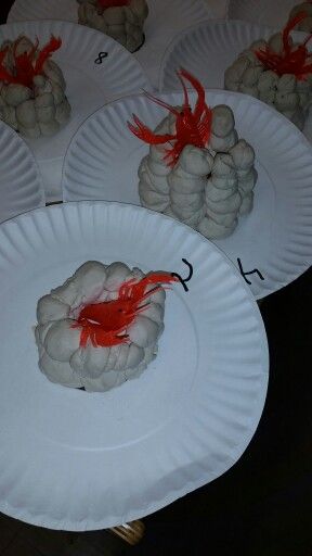 Louisiana Theme- Crawfish Mudholes/Chimneys made from clay Louisiana Crafts For Preschool, Louisiana Crafts For Kids, Louisiana Crafts, Mardi Gras Activities, Cajun French, Louisiana Culture, Louisiana Mardi Gras, Trees For Kids, Louisiana Swamp