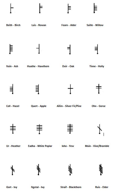 The Celtic Ogham Celtic Shaman, Celtic Ogham, Celtic Deities, Ogham Alphabet, Runes Meaning, Tree Symbol, Hawthorn Tree, Celtic Gods, Different Symbols