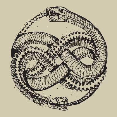 Ouroboros Tattoo, Serpent Tattoo, Dark Art Tattoo, Tattoo Style Drawings, Symbol Tattoos, Snake Tattoo, Black Ink Tattoos, Simplistic Tattoos, A Snake