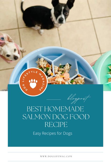 Easy Recipes for Dogs Farmers Dog Food, Recipes For Dogs, Quick Salmon, Dog Food Recipe, Diy Dog Food, Grain Free Dog Food, Medication For Dogs, Dog Magazine, Dog Exercise