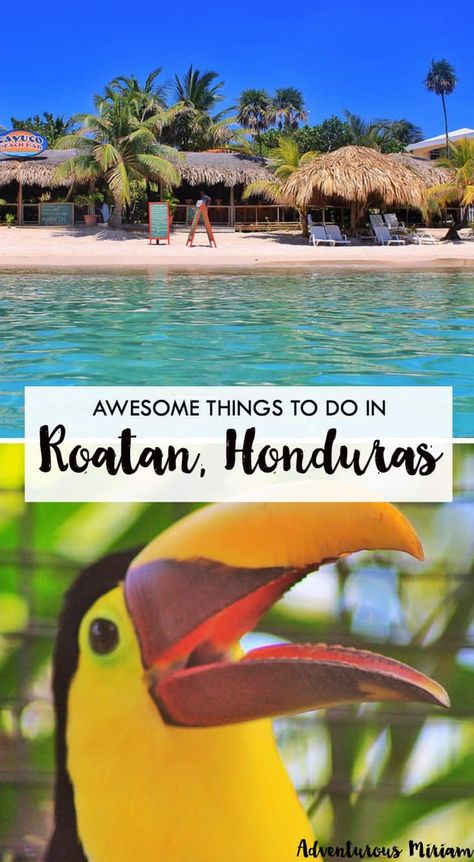 Roatan island is surrounded by the Caribbean Sea, and the waters are filled with corals, starfish, dolphins and other underwater stunners. Here are the most awesome things to do in Roatan, Honduras. Olimpia Honduras, Honduras Roatan, Honduras Travel, Roatan Honduras, Costa Maya, Western Caribbean, Tegucigalpa, Central America Travel, Managua