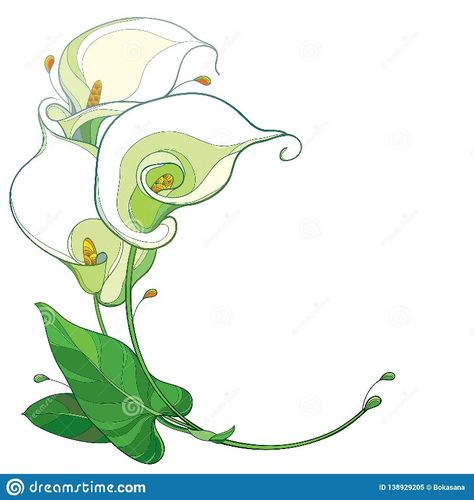 Calla Flower, Tangled Painting, Lilies Drawing, Toilet Paper Roll Art, Rolled Paper Art, 동화 삽화, Floral Stencil, Art Nouveau Illustration, Art Nouveau Flowers