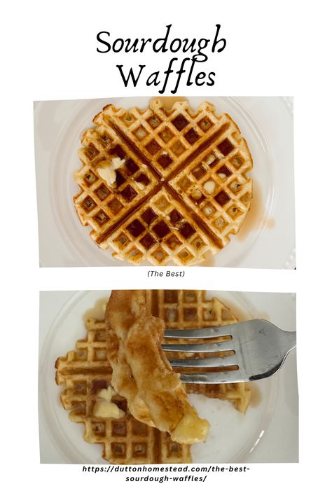 This is a delicious and easy sourdough waffle recipe! The perfect family breakfast, and the leftovers reheat wonderfully! Discard Waffles, Sourdough Waffle Recipe, Sourdough Waffles, Easy Sourdough, Waffle Recipe, Family Breakfast, The Leftovers, Cooling Rack, Waffle Iron