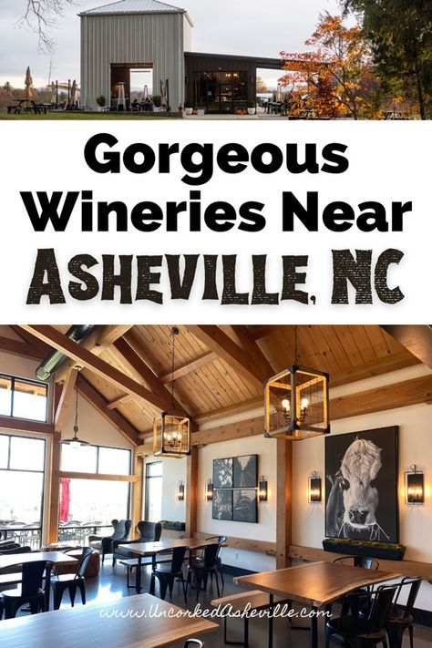 Are you looking for the best Asheville wineries and wineries near Asheville, North Carolina? Explore some of our favorite wineries in Asheville, NC like pleb urban winery and Biltmore, along with the Hendersonville wineries. We'll also share Asheville wine bars as locals. Asheville Things To Do, Urban Winery, Ashville North Carolina, North Carolina Attractions, Black Mountain Nc, North Carolina Vacations, Highlands Nc, North Carolina Travel, Wine Bars