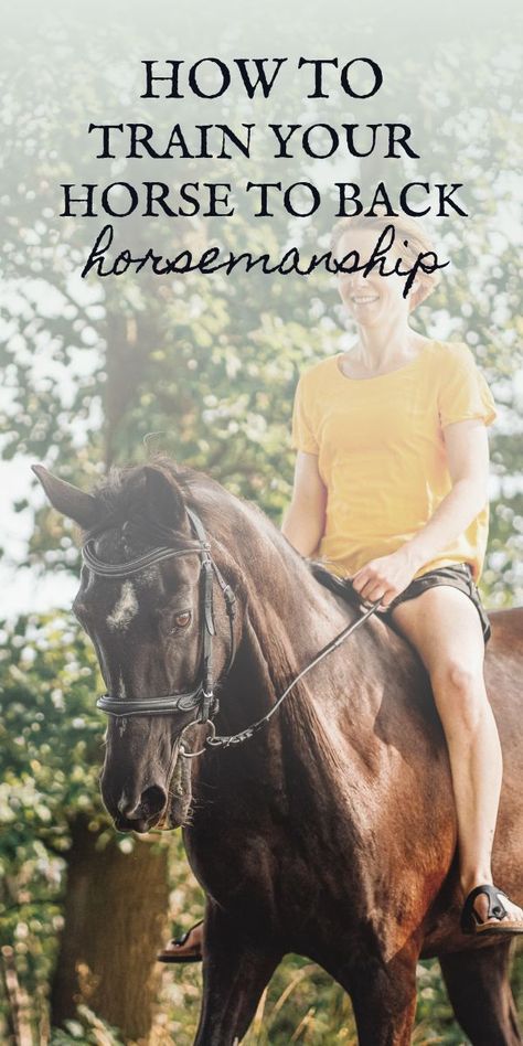 Whether you call it "backing", "backing up", "going backwards", "rear back" or "rein back", training your horse to back is one of those fundamental stepping stones (or Cornerstones, if you will), to having a well trained horse. While "backing" your horse, or getting him to go backwards seems like a no-brainer, it's actually a very difficult task you're asking of your horse that demands athleticism and complete obedience. It can be difficult to train properly...click the pin to learn more! Horse Groundwork, Back Training, Horse Exercises, Equestrian Helmets, Equestrian Helmet, Types Of Horses, Horse Tips, Riding Hats, Horse Health