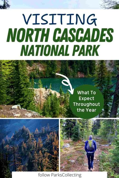 Thinking about visiting North Cascades National Park? Discover what to expect throughout the year with my seasonal guide! Learn the best times for hiking, wildlife spotting, and taking in the breathtaking mountain views. Whether you're planning a summer adventure or a cozy winter escape, visiting North Cascades National Park promises unforgettable experiences year-round! #northcascades #washingtonstate #nationalpark | USA Travel Diablo Lake, Cascades National Park, American National Parks, Cascade National Park, North Cascades National Park, National Park Road Trip, North Cascades, Summer Adventures, Usa Travel