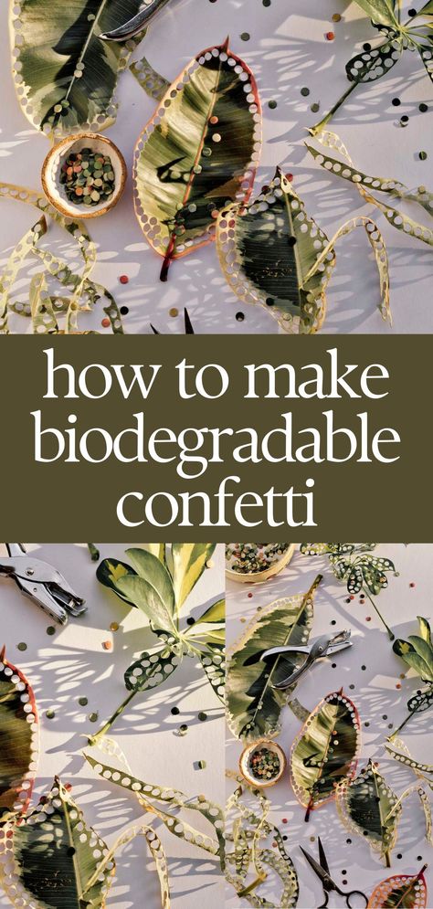 How to Make (No Cost) Biodegradable Confetti How To Make Biodegradable Confetti, How To Make Your Own Confetti, Diy Biodegradable Confetti, Nature Confetti, Goodwill Wedding, Nature Themed Party, Sustainable Decorations, Make Your Own Confetti, Natural Confetti