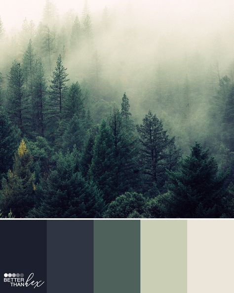 Color palette ideas, inspiration and colour swatches for home decor, design and blog themes. Bedroom Color Schemes Relaxing, Best Bedroom Colors, Colour Swatches, Color Palette Ideas, House Color Palettes, Forest Color, Hemma Diy, Color Schemes Colour Palettes, Green Color Schemes