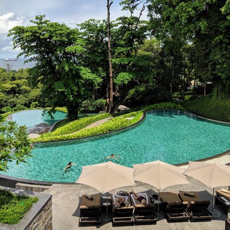 Hotel Review: Capella Singapore (One Bedroom Garden Villa) - Ultra-luxurious Escapist Fantasy Experience in Sentosa | Secret Life of Fatbacks Capella Hotel, Capella Singapore, Eco Resort, Bedroom Garden, Garden Villa, South China Sea, Spa Offers, Plunge Pool, Garden Pool