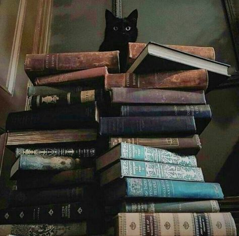 A Stack Of Books, A Black Cat, Stack Of Books, A Black, Black Cat, Books, Black