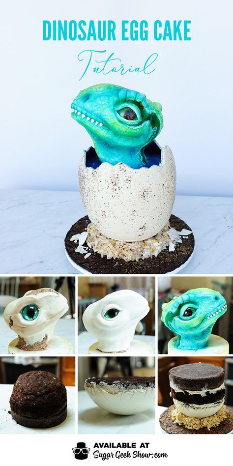 Dinosaur Egg Cake, Tårta Design, Cake Structure, Dino Cake, Dinosaur Birthday Cakes, Dinosaur Egg, Egg Cake, Creative Cake Decorating, Animal Cakes